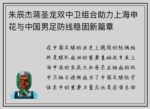 朱辰杰蒋圣龙双中卫组合助力上海申花与中国男足防线稳固新篇章